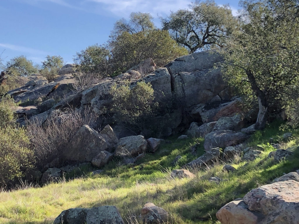 Rocks at Barnett Ranch